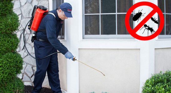Yeşilyurt Fare İlaçlama böcek ilaçlama ve haşere kontrolü — ilaclama-tr.com